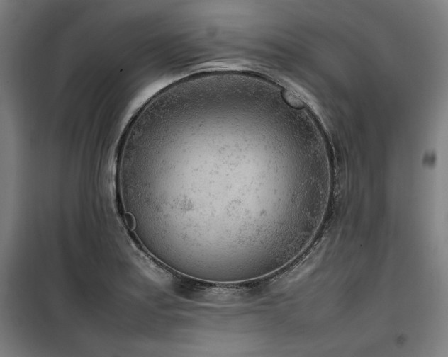 X0000100191179200805301241