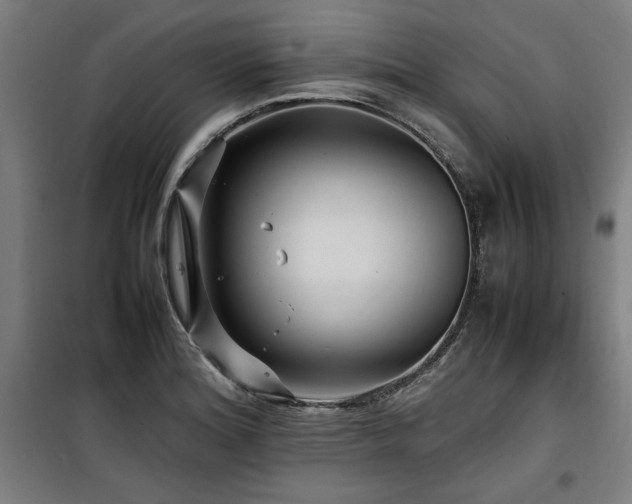 X0000100191180200805301241