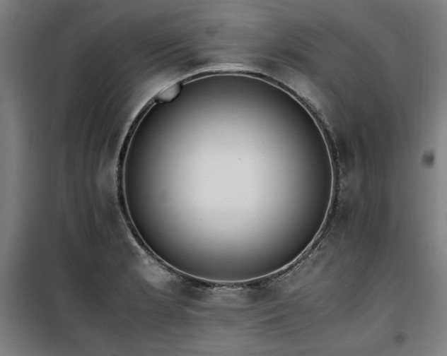 X0000100191181200805301241