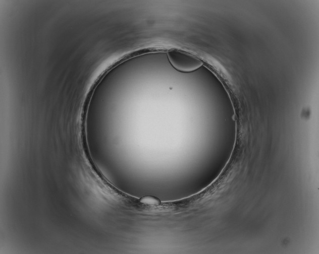 X0000100191183200805301241