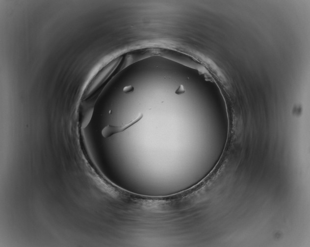 X0000100191184200805301241