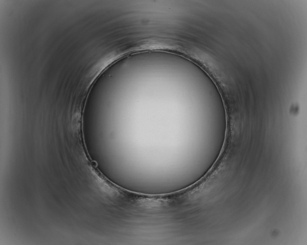 X0000100191185200805301241