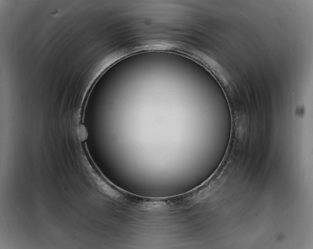 X0000100191186200805301241