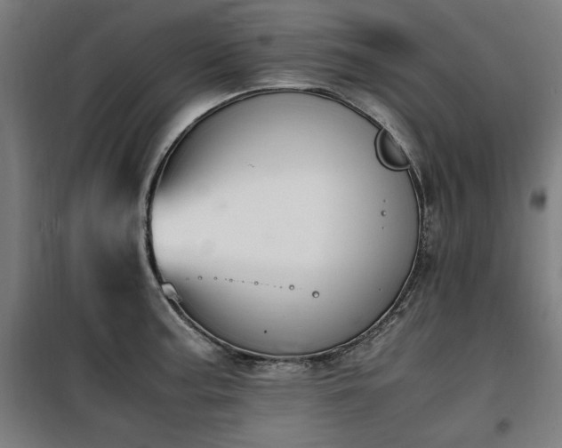 X0000100191187200805301241
