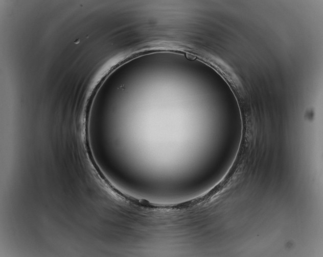 X0000100191188200805301241