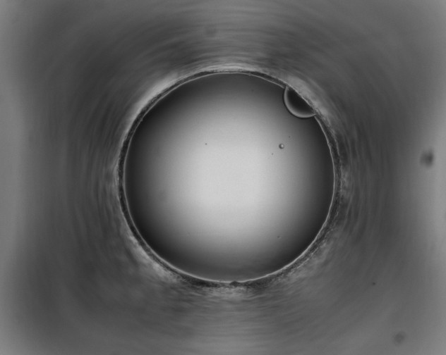X0000100191189200805301241