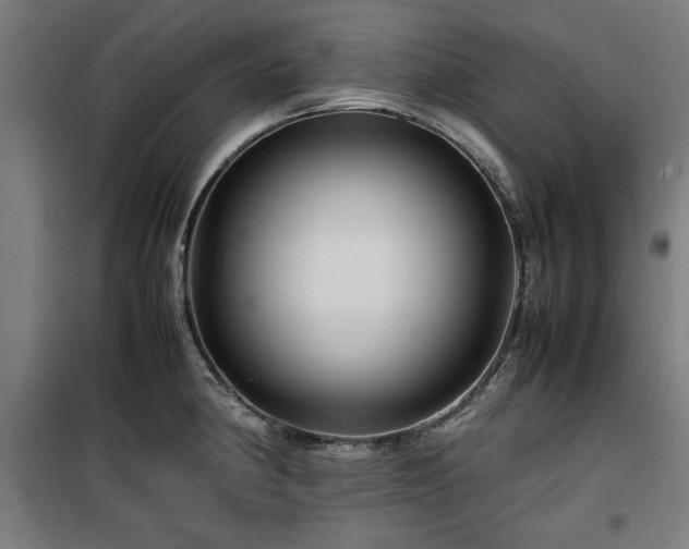X0000100191190200805301240