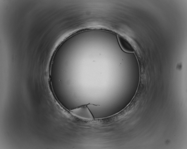 X0000100191191200805301240