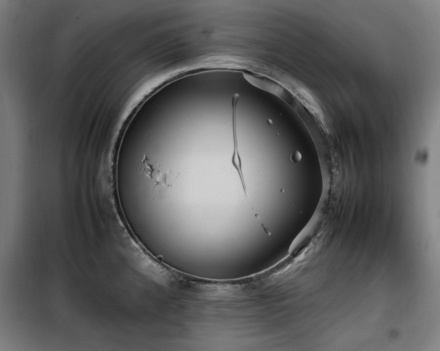 X0000100191192200805301240