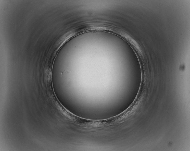X0000100191193200805301240