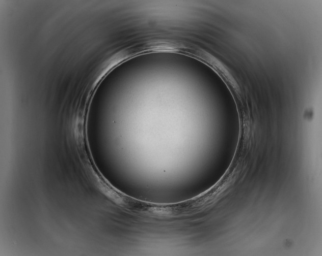 X0000100191194200805301240