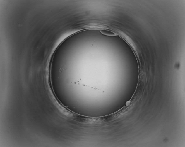 X0000100191195200805301240