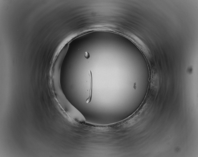 X0000100191196200805301240