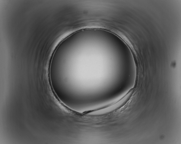 X0000100191197200805301240