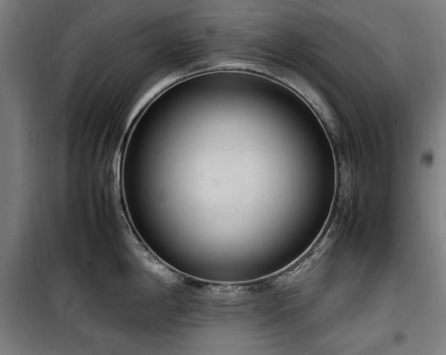 X0000100191198200805301240