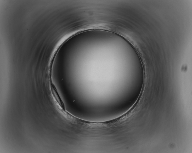 X0000100191200200805301240