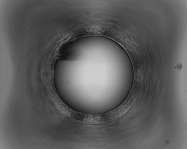 X0000100191201200805301240