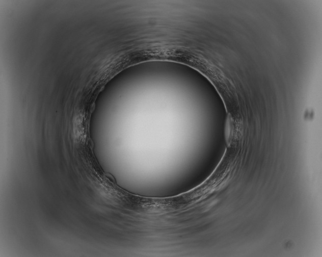X0000100191202200805301240