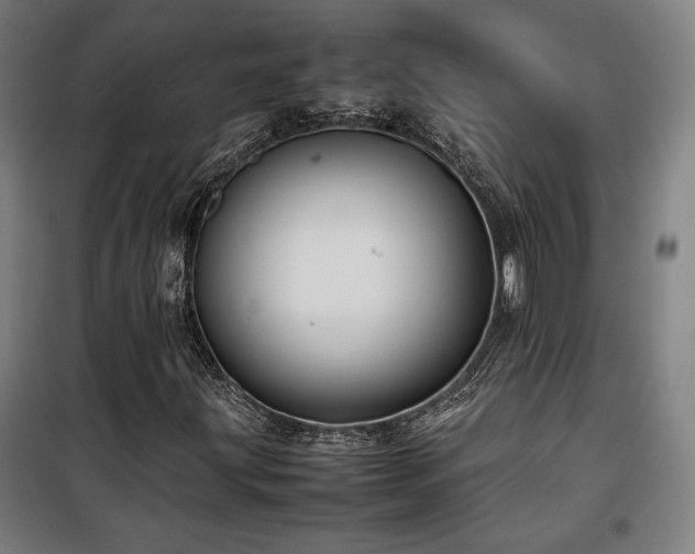 X0000100191203200805301240