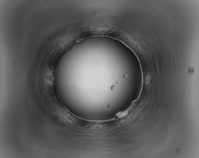 X0000100191204200805301240