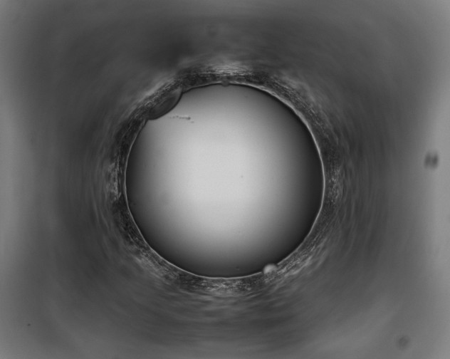 X0000100191205200805301240