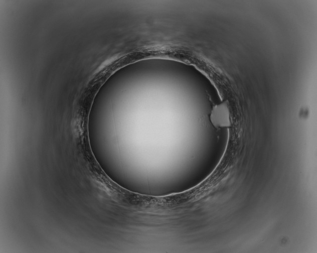 X0000100191206200805301240