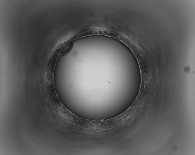 X0000100191207200805301240