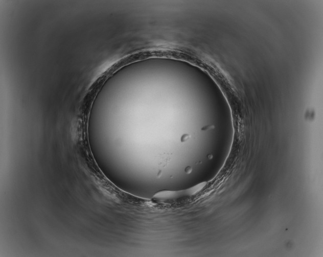 X0000100191208200805301240