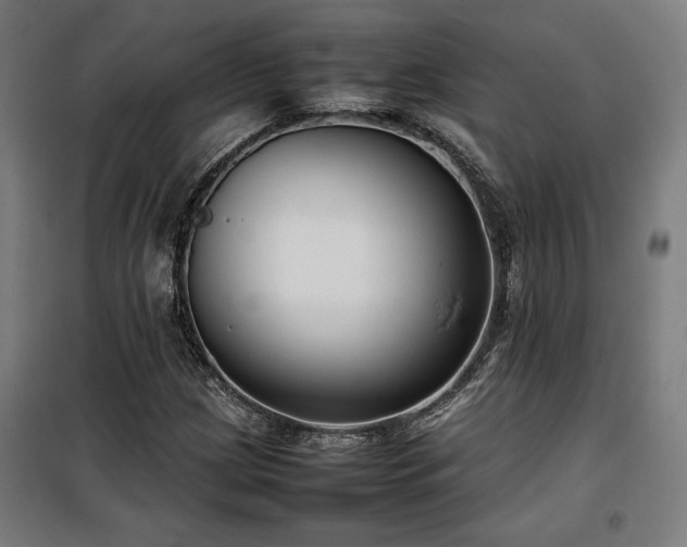 X0000100191209200805301240