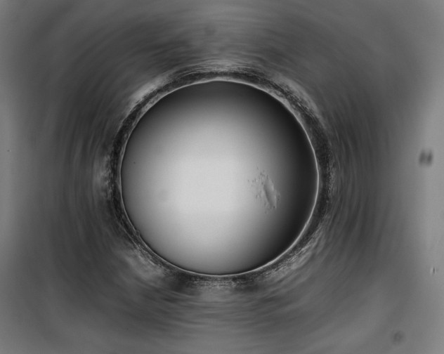 X0000100191210200805301240