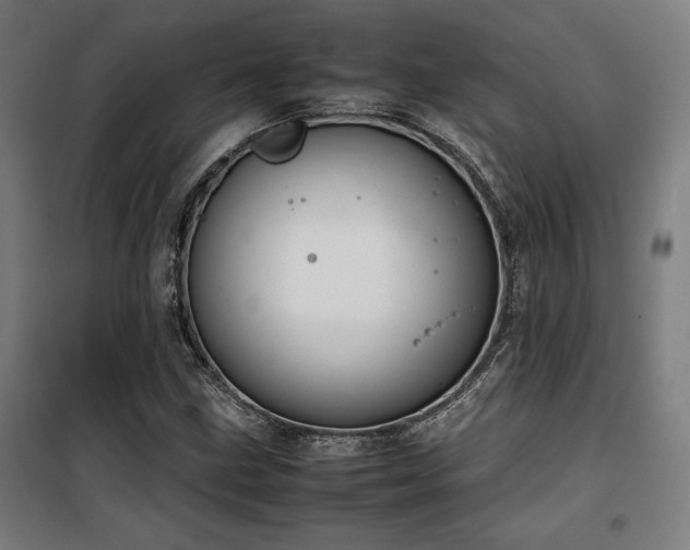 X0000100191211200805301240