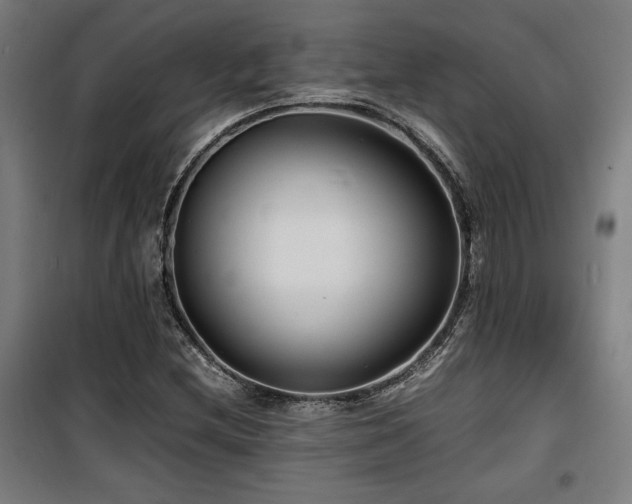 X0000100191212200805301240