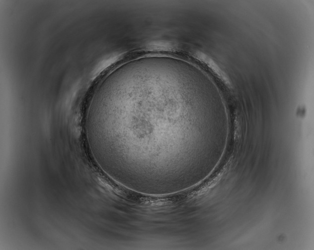 X0000100191213200805301240