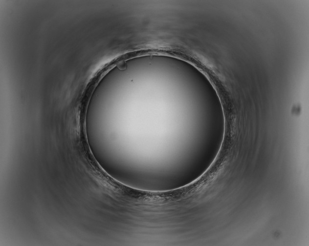 X0000100191214200805301240