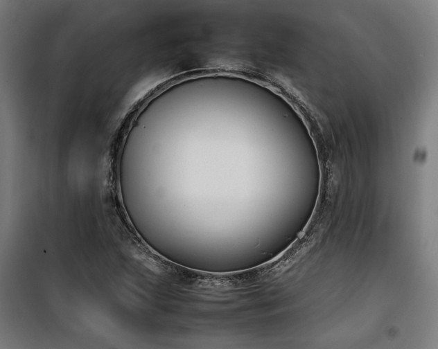 X0000100191215200805301240