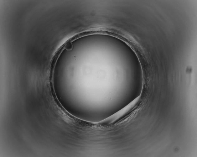 X0000100191216200805301240