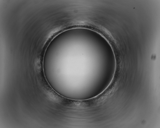 X0000100191218200805301240