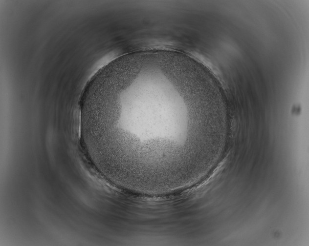 X0000100191219200805301240
