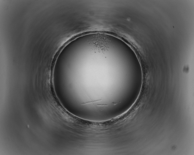 X0000100191220200805301240