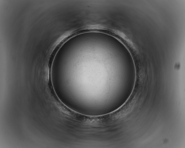 X0000100191221200805301240