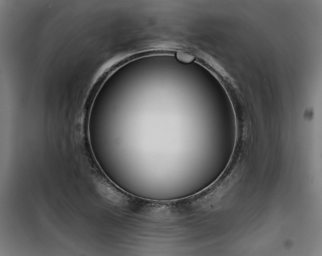 X0000100191222200805301240