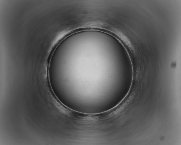 X0000100191224200805301240