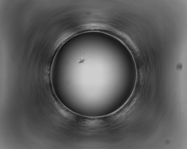X0000100191225200805301240