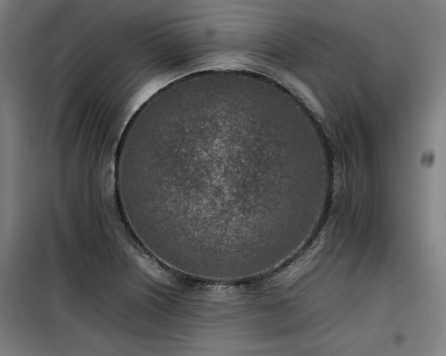 X0000100191226200805301240