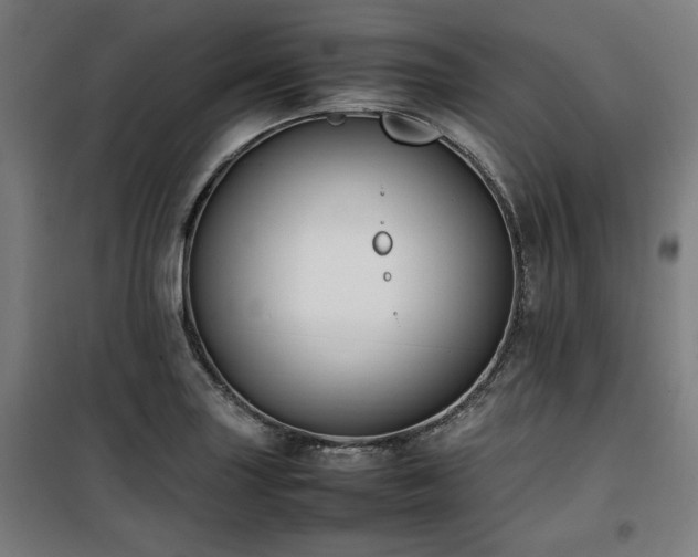 X0000100191227200805301240