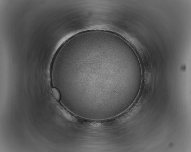 X0000100191230200805301240