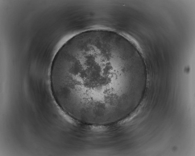 X0000100191231200805301240