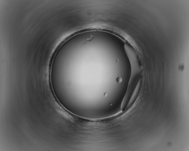 X0000100191232200805301240