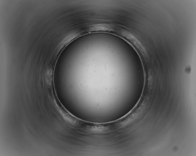 X0000100191233200805301240