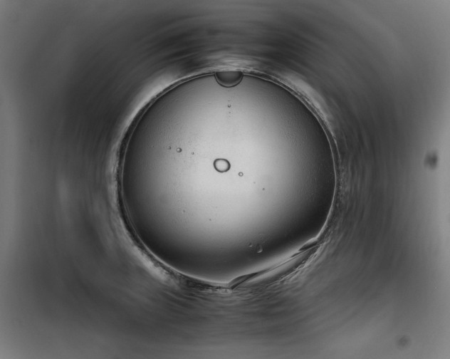 X0000100191235200805301240
